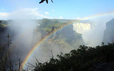 How Can I Save Money On My Trip To Victoria Falls?