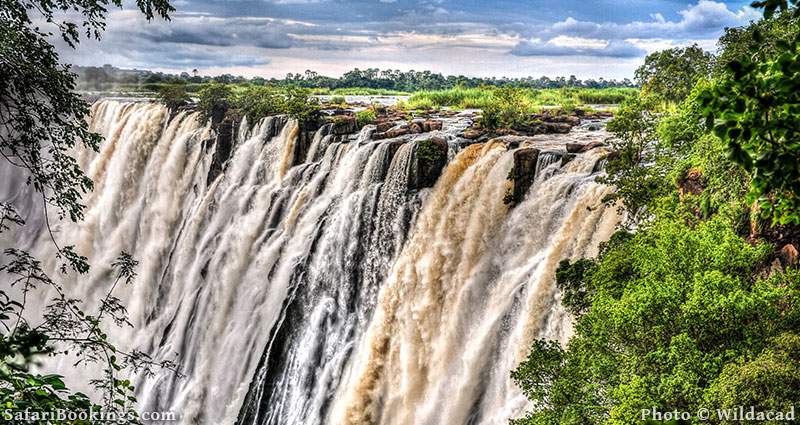 The Best Things To Do In Victoria Falls