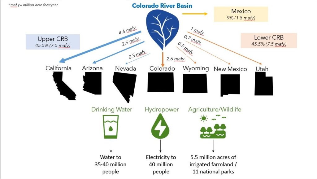 The Environmental Impact Of The Gorge Swing. How The Activity Is Managed To Minimize Its Impact On The Environment.