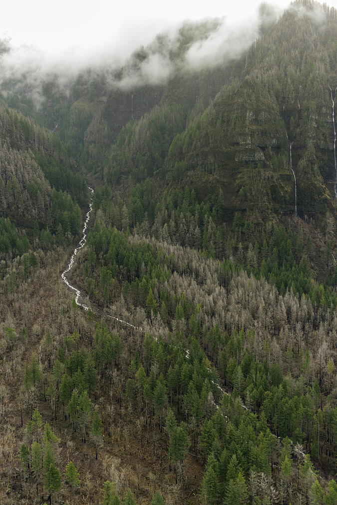 The Environmental Impact Of The Gorge Swing. How The Activity Is Managed To Minimize Its Impact On The Environment.