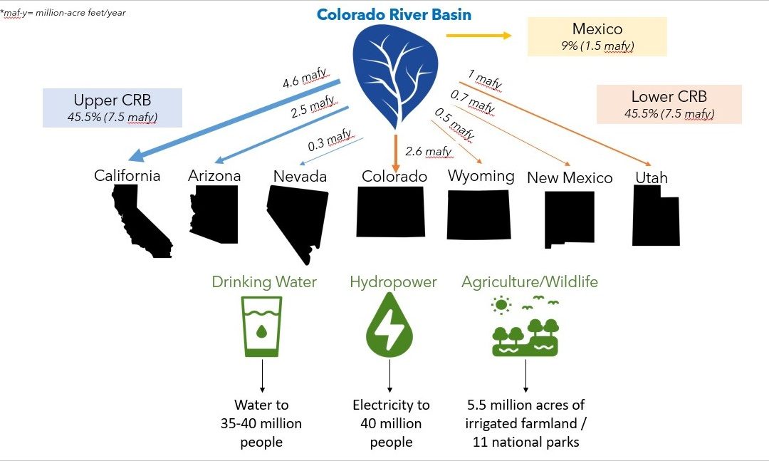 The Environmental Impact Of The Gorge Swing. How The Activity Is Managed To Minimize Its Impact On The Environment.