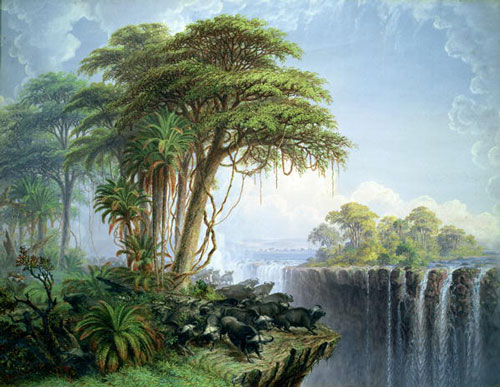 The Plants Of Victoria Falls