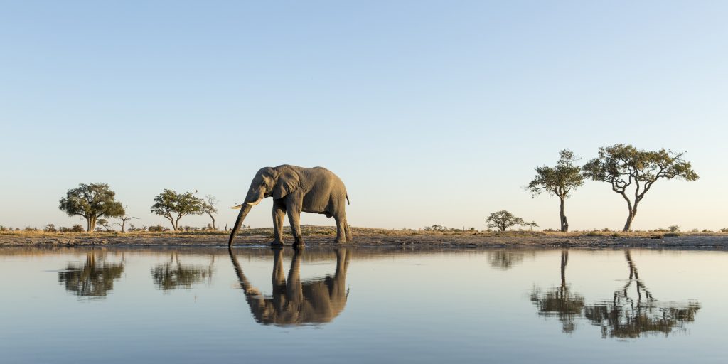 What Are The Best Things To Do In Chobe National Park?